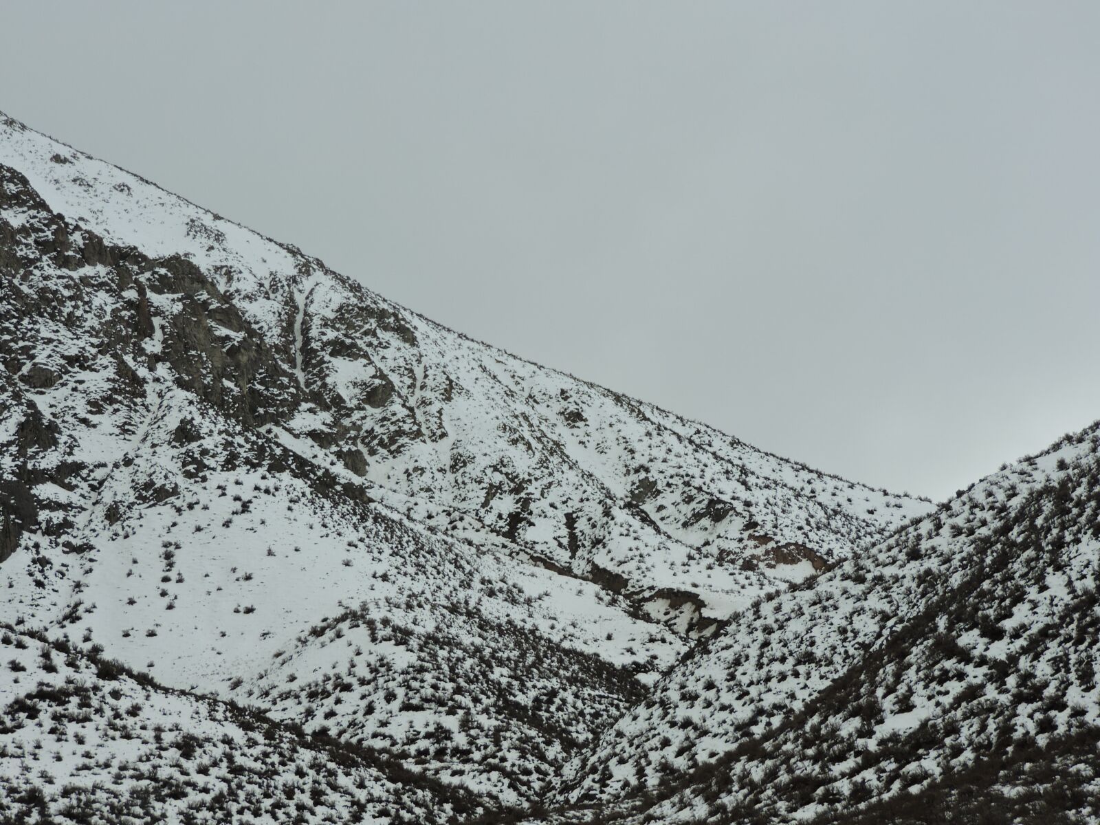 Nikon Coolpix P530 sample photo. Mendoza, argentina, snow photography
