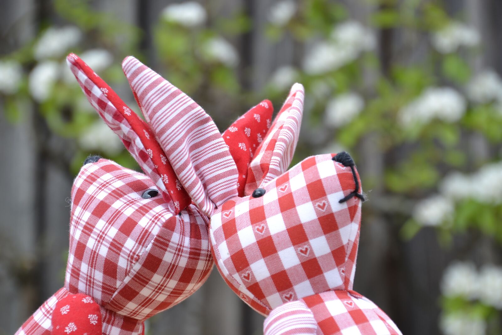 Nikon D3100 sample photo. Rabbit ears, easter bunny photography