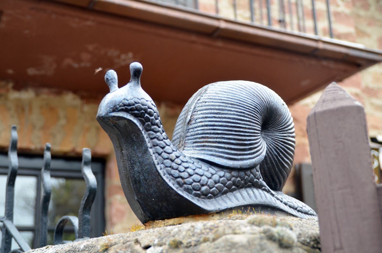 Nikon D5100 sample photo. Animals, snail, mollusk photography