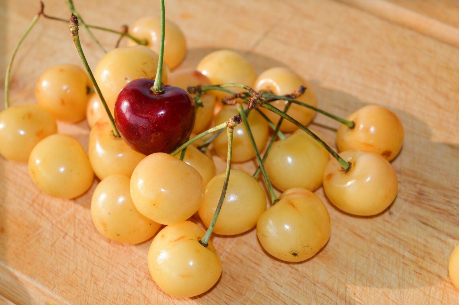 Nikon D3200 sample photo. Yellow cherries, special, other photography
