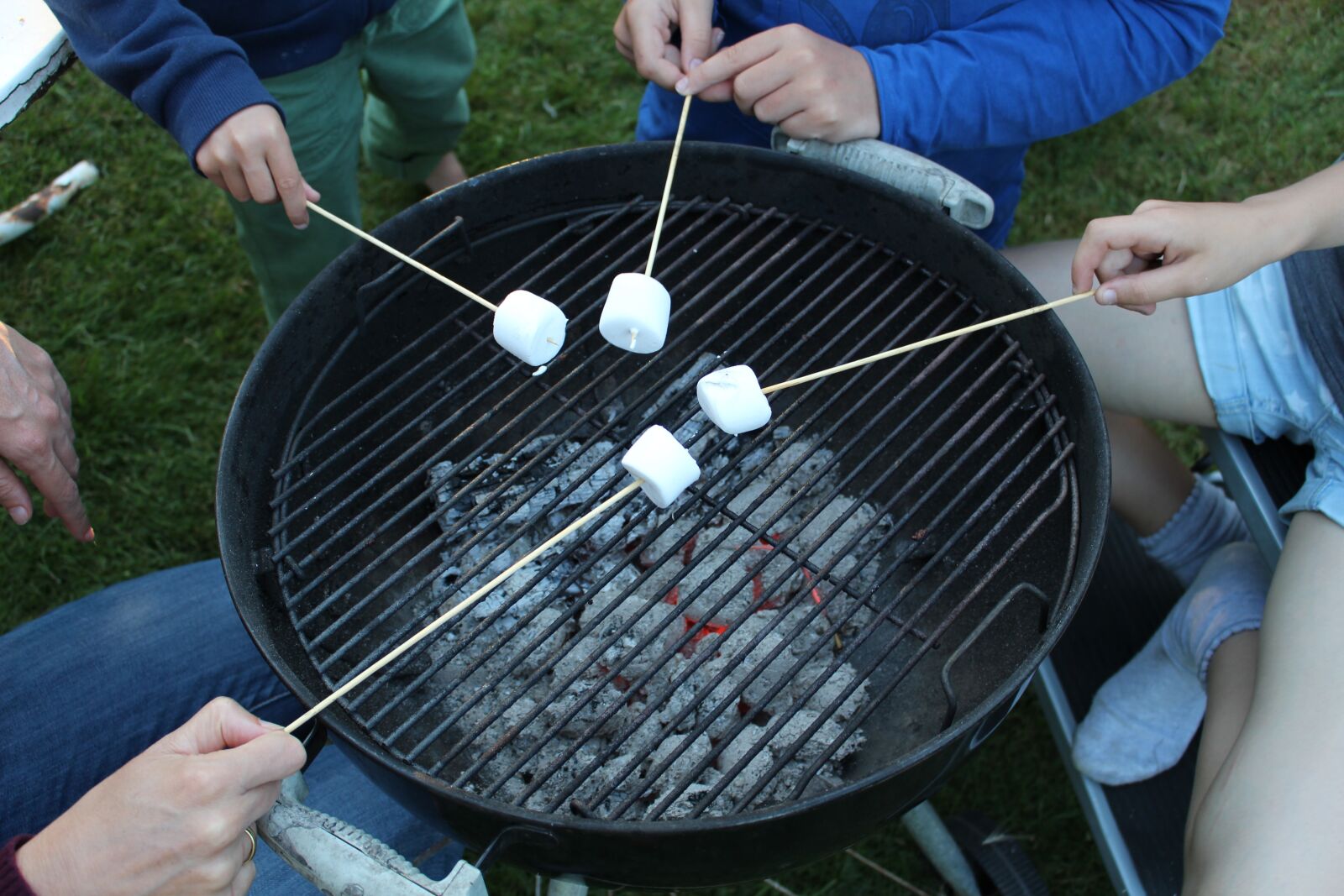 Canon EOS 700D (EOS Rebel T5i / EOS Kiss X7i) sample photo. Grill, charcoal, barbecue photography