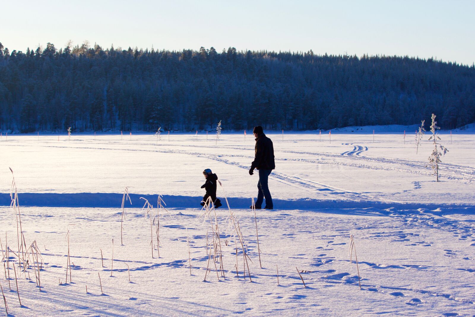 Canon EOS 60D sample photo. Family, child, promenade photography