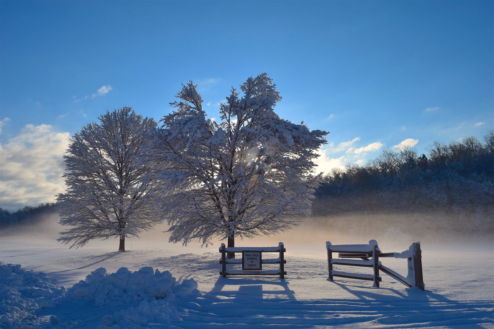 Nikon D3300 sample photo. Snow, trees, sunlight photography