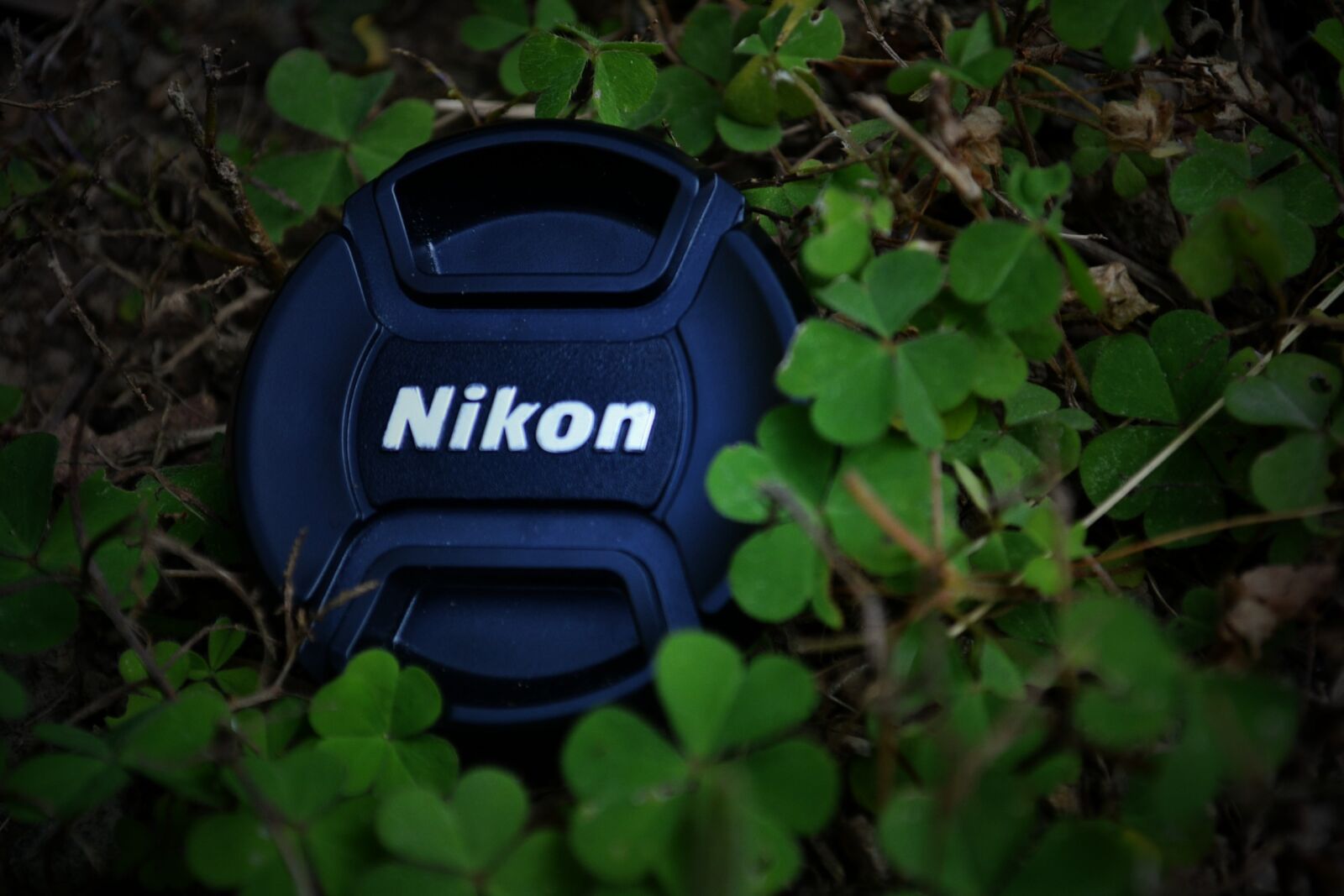 Nikon D3100 sample photo. View, of, plants photography