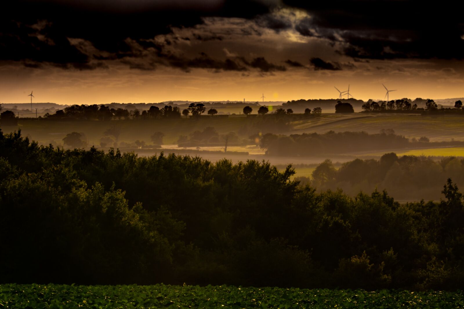 150-600mm F5-6.3 DG OS HSM | Contemporary 015 sample photo. Landscape, apocalypse, misty photography