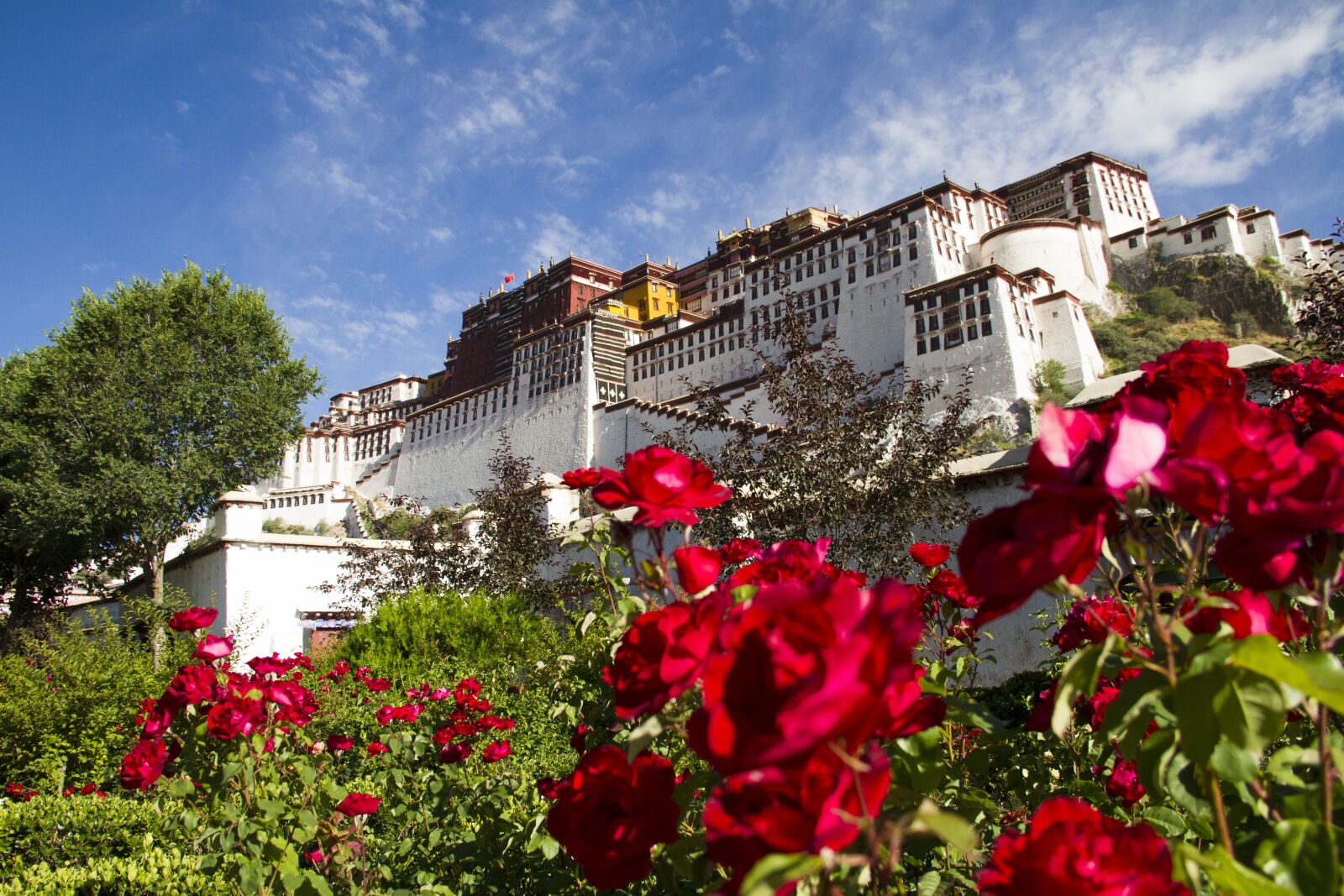 Canon EOS 7D sample photo. Tibet, contention-free, pure photography