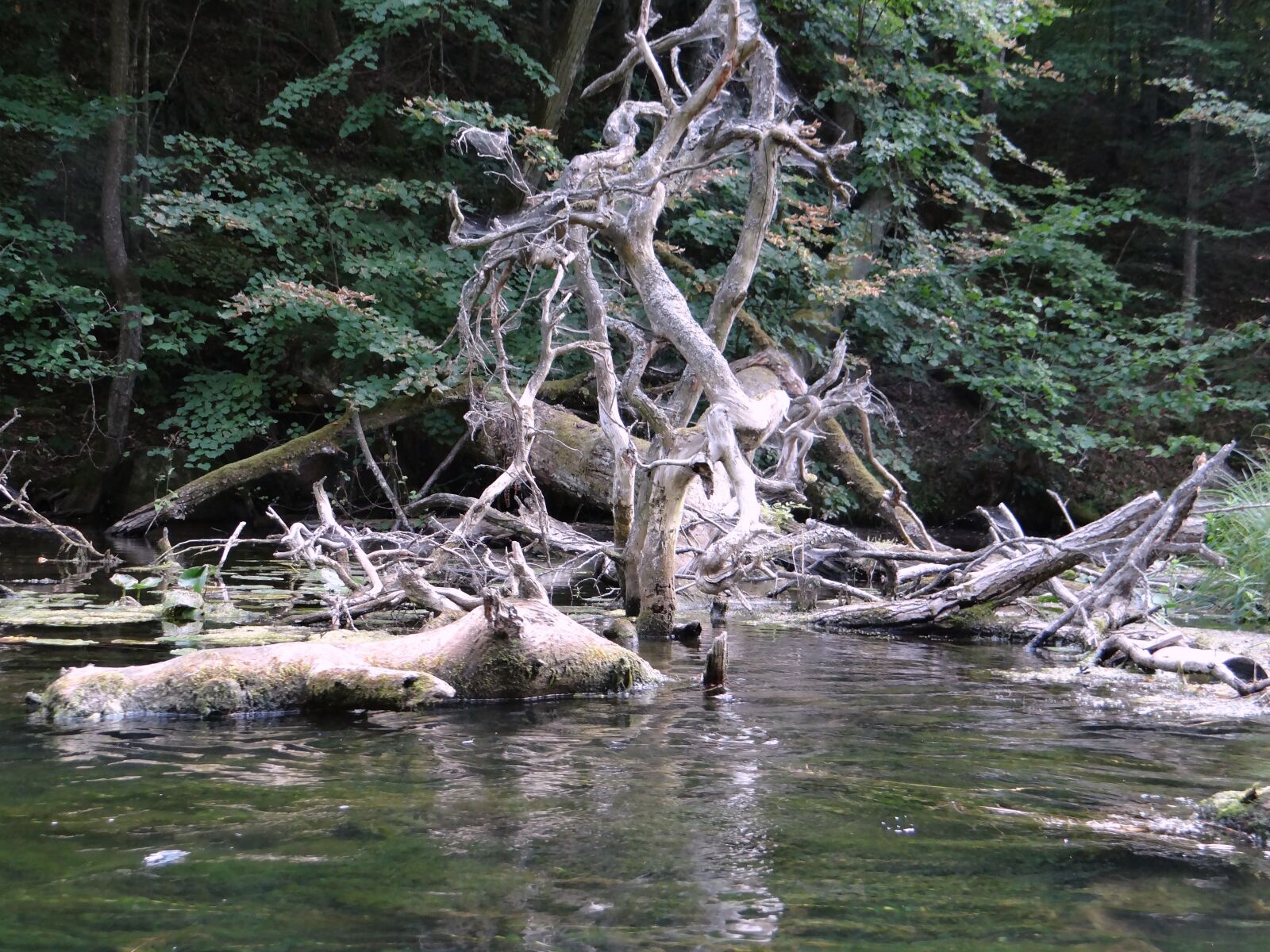 Sony DSC-HX200V sample photo. Krutynia, water, river photography