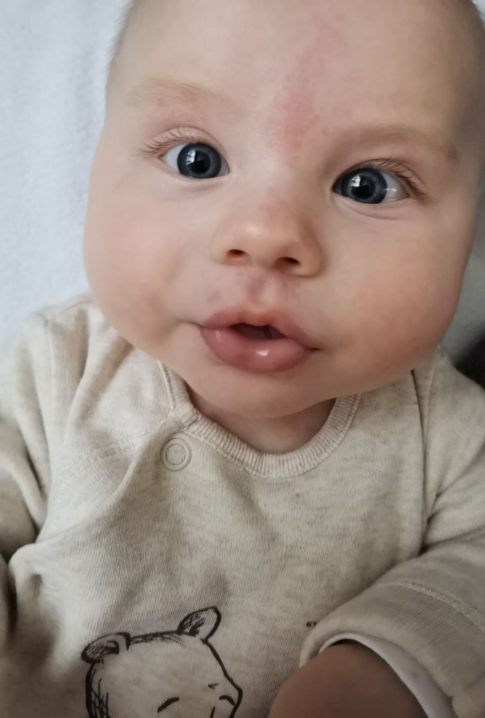 HUAWEI ELS-NX9 sample photo