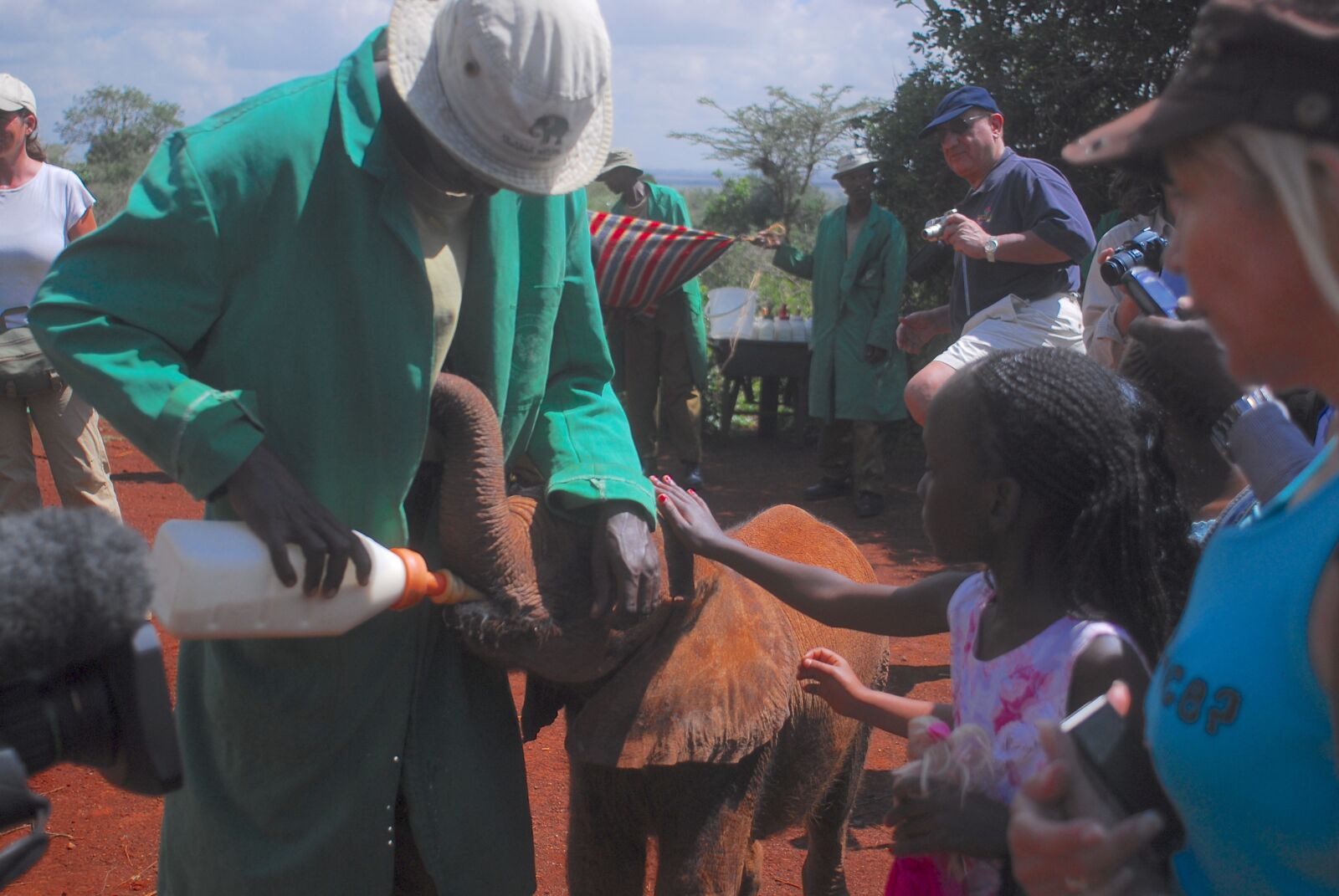 Nikon D200 sample photo. Feeding baby elephants, bottle photography