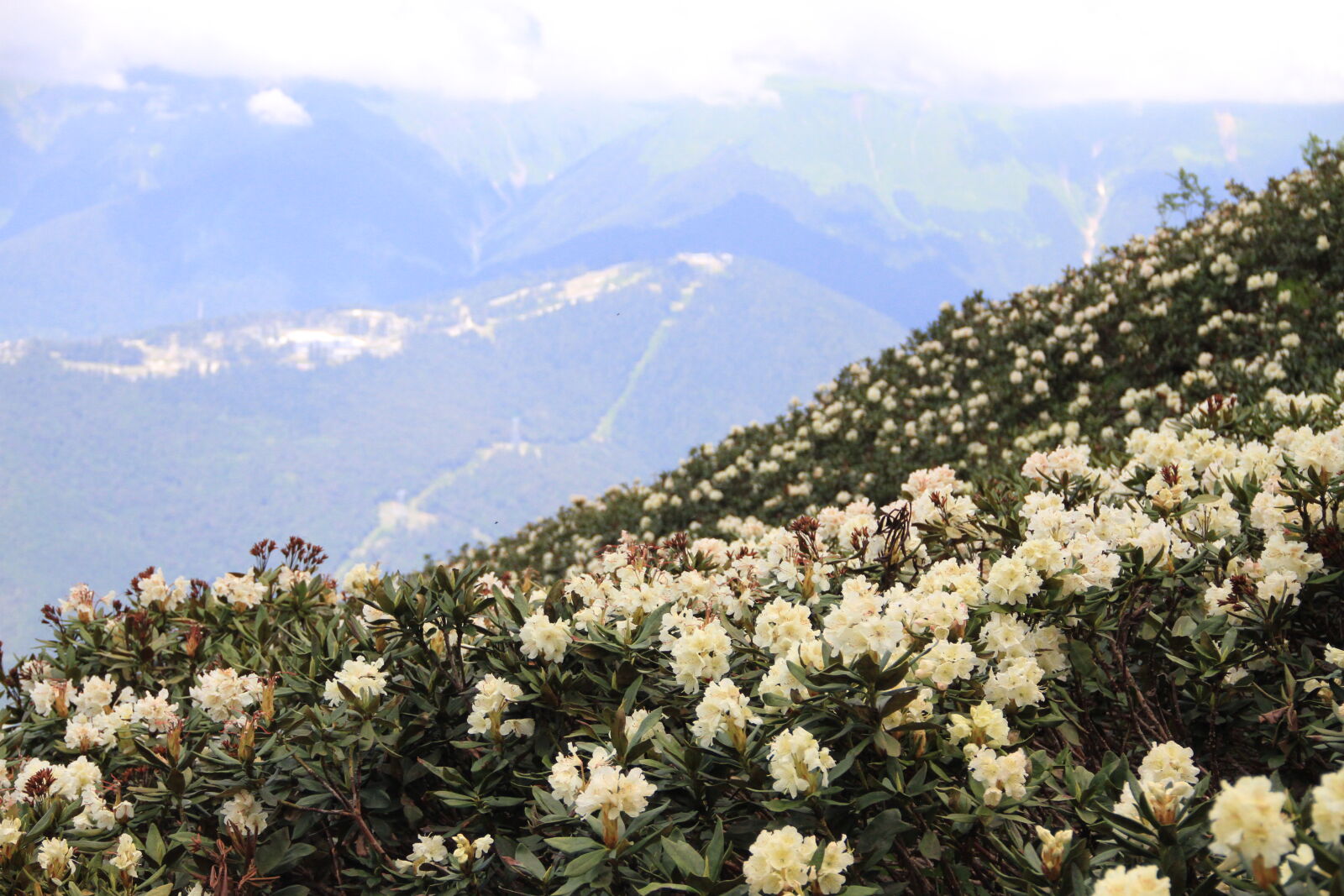 Canon EOS 7D sample photo. Clouds, flowers, mountains photography