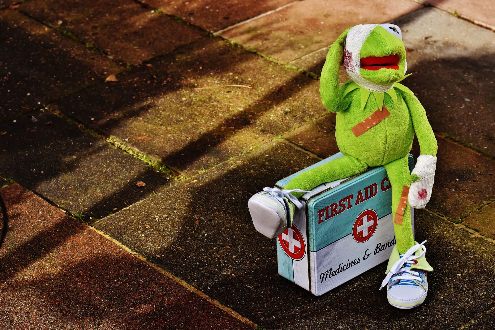 Nikon D7200 sample photo. Kermit, first aid, injured photography