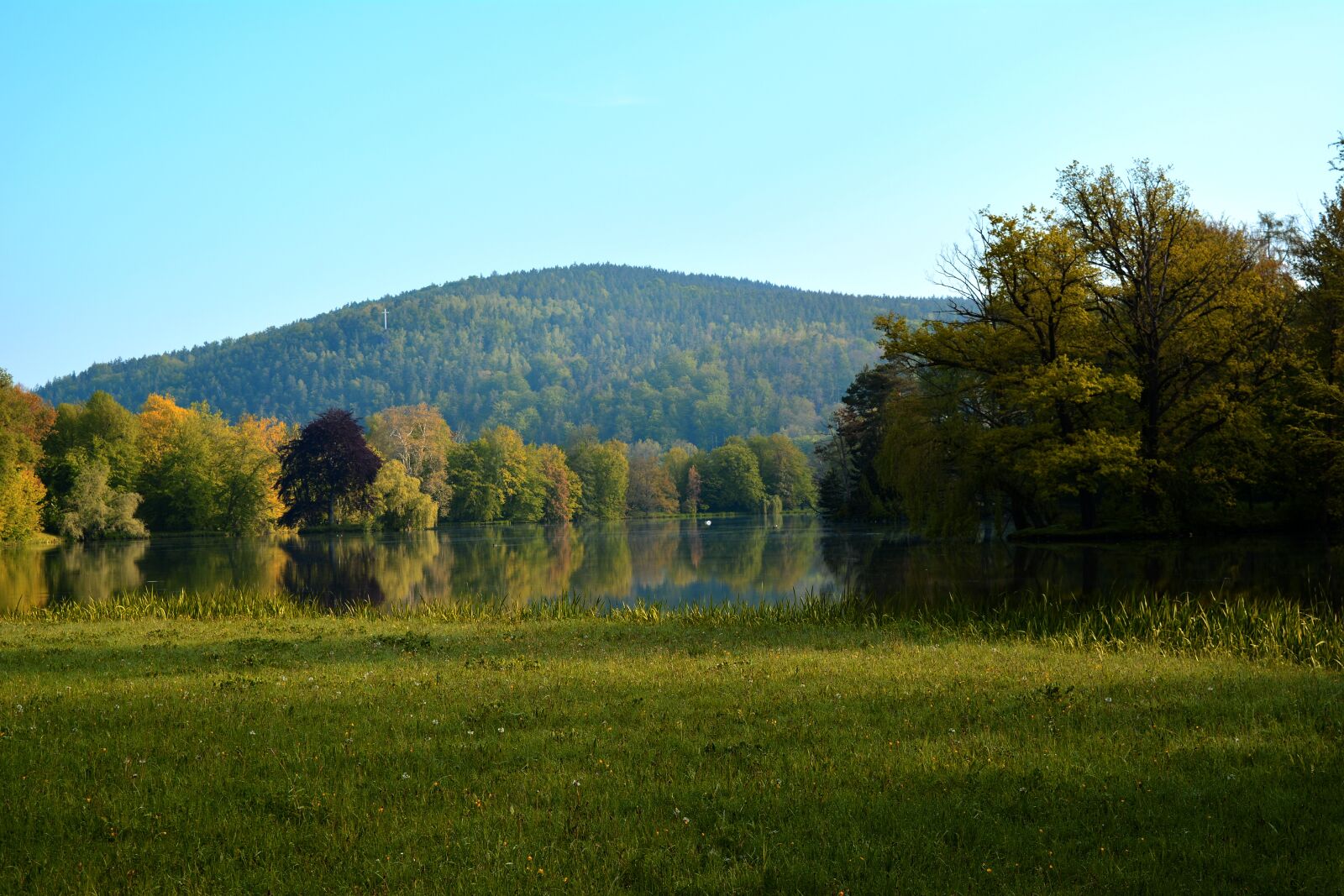 Nikon D5200 sample photo. Landscape park, greiz, park photography