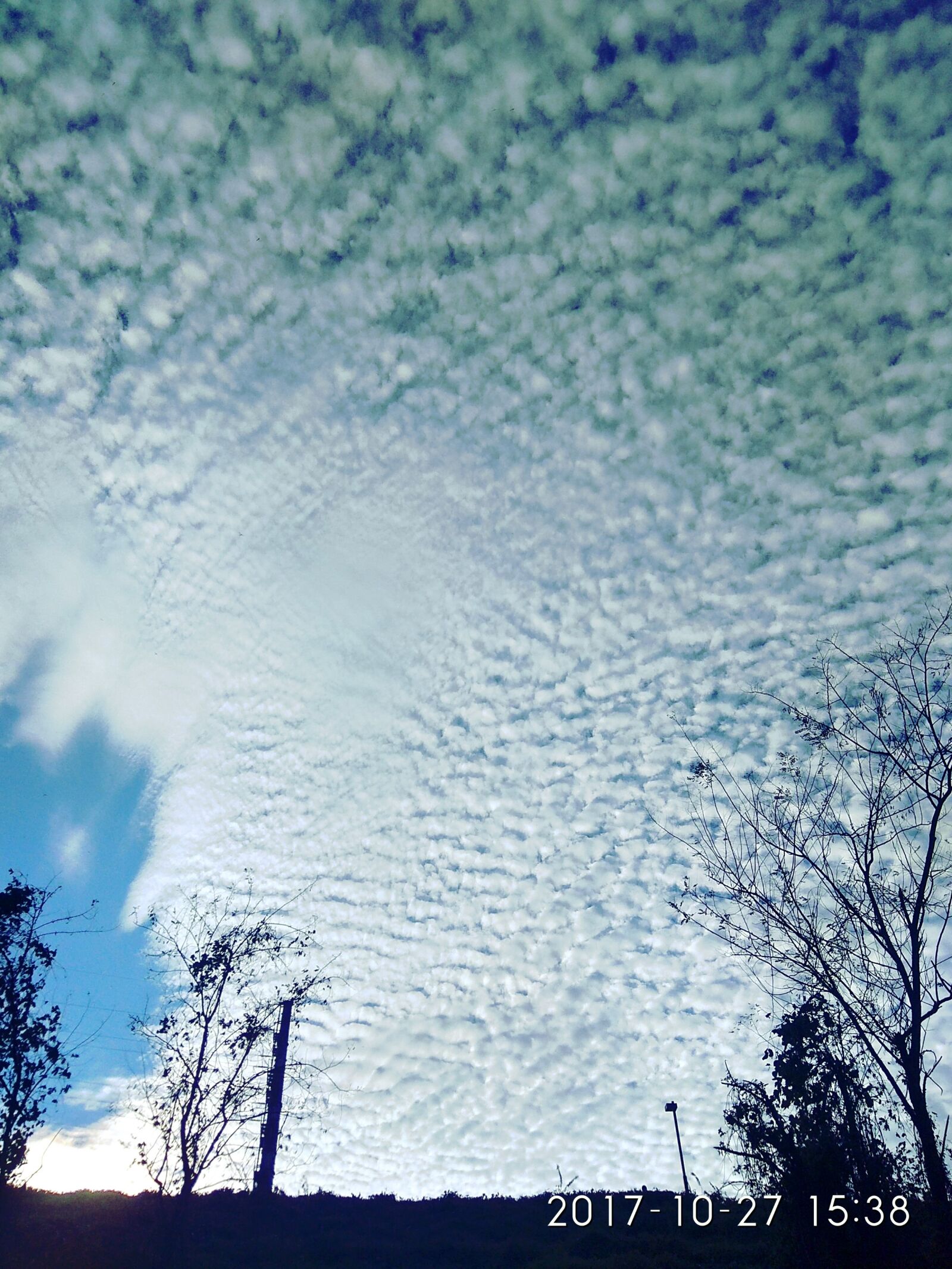 Xiaomi Redmi Note 4 sample photo