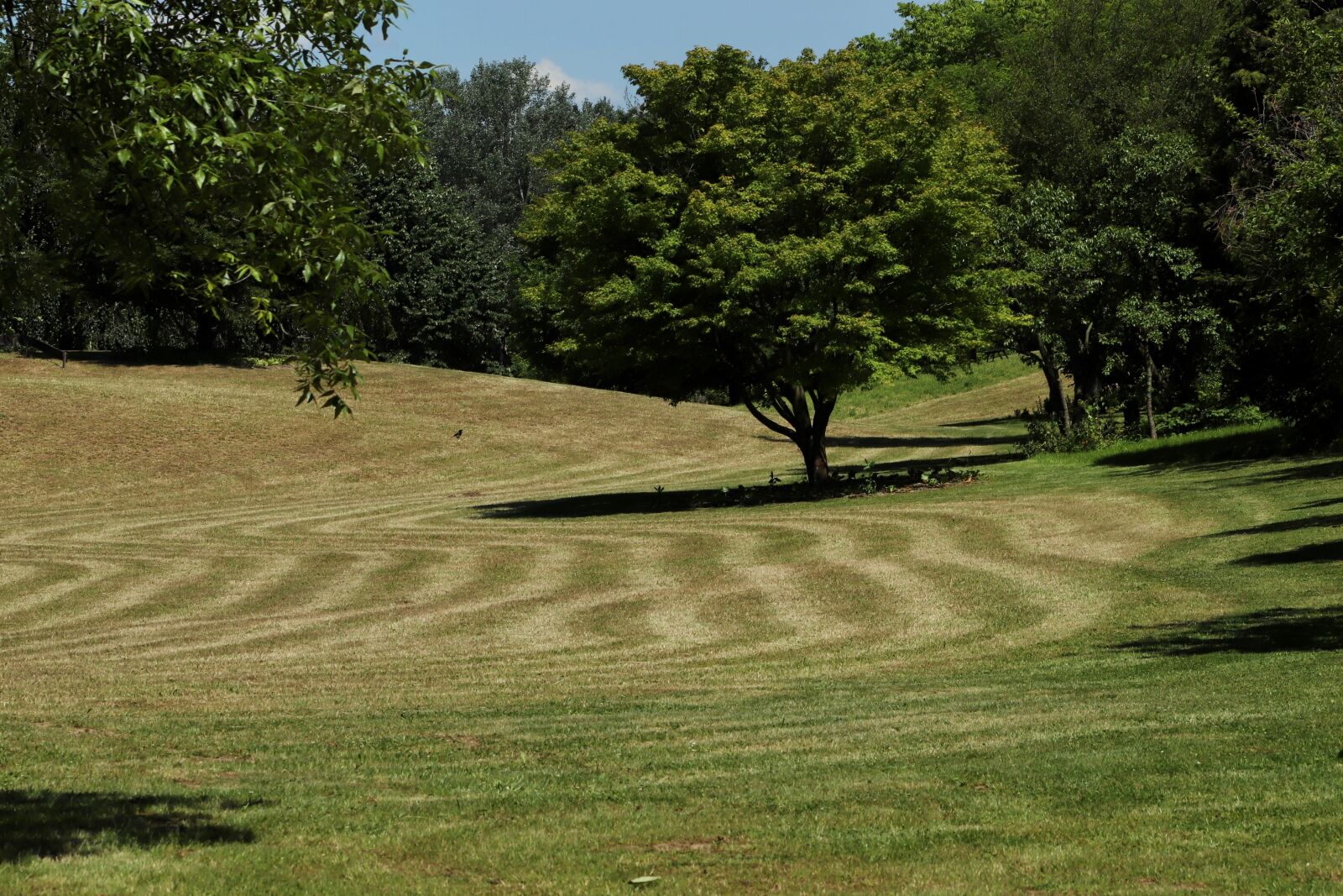 Canon EOS 800D (EOS Rebel T7i / EOS Kiss X9i) sample photo. Park, parklandschaft, meadow photography