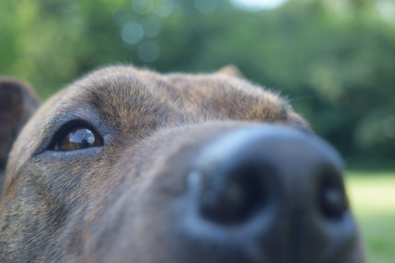Nikon D3300 sample photo