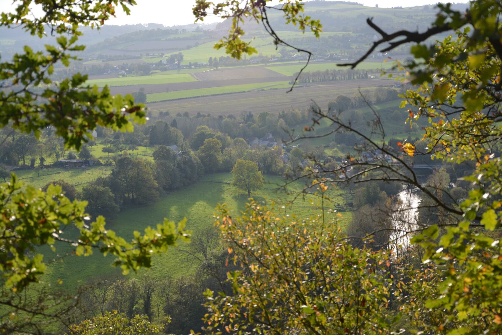 Nikon D5200 sample photo. Panoramic, nature, trees photography