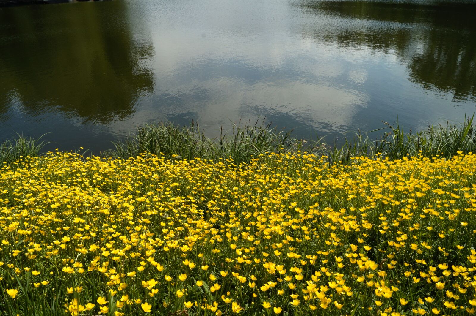 Sony DT 18-55mm F3.5-5.6 SAM II sample photo. Spring, waterfront, water photography