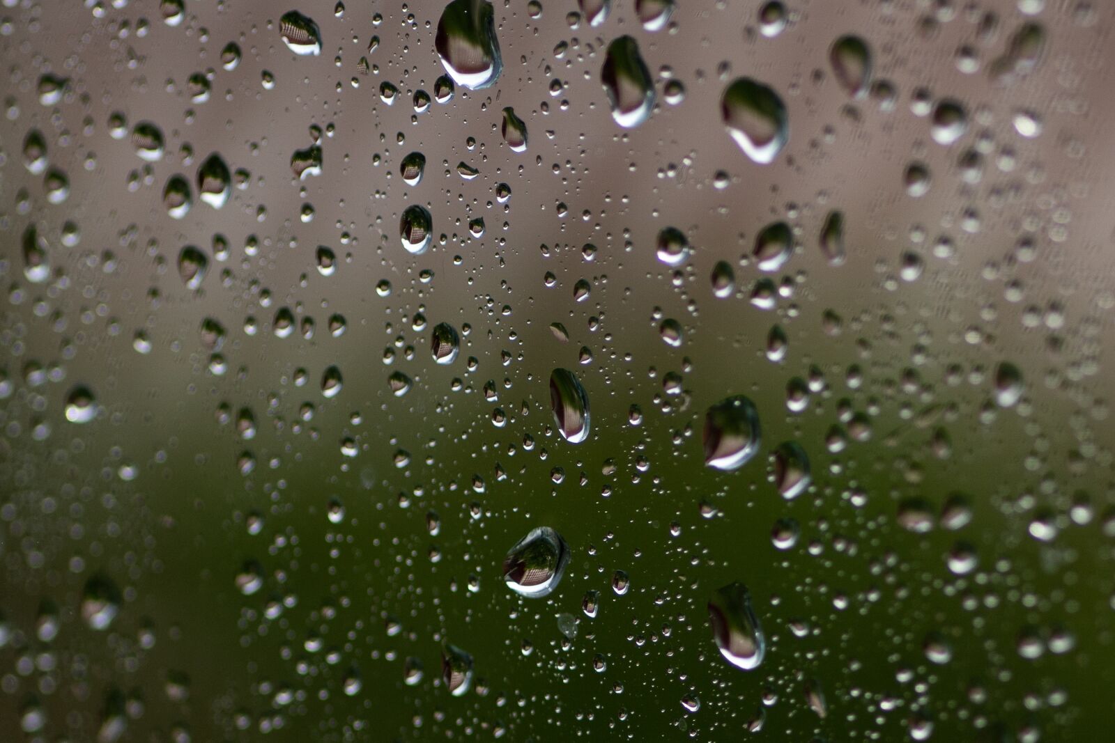 Sony ILCA-77M2 sample photo. Drops, window, rain photography
