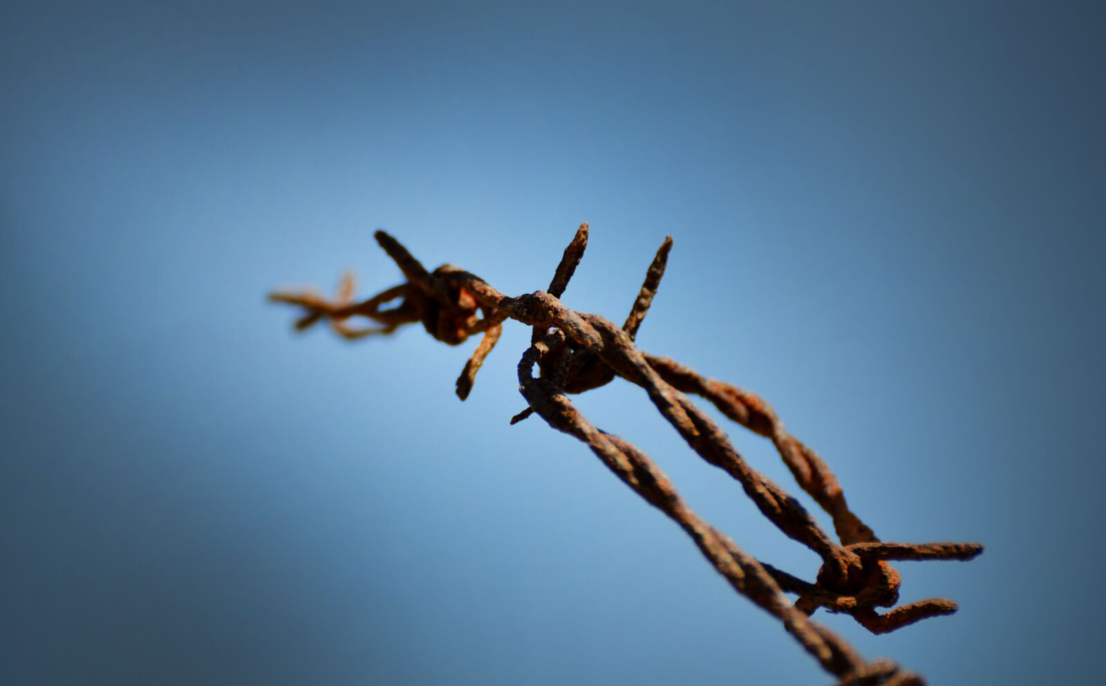 Nikon D7000 sample photo. Rust, rusted, retro photography