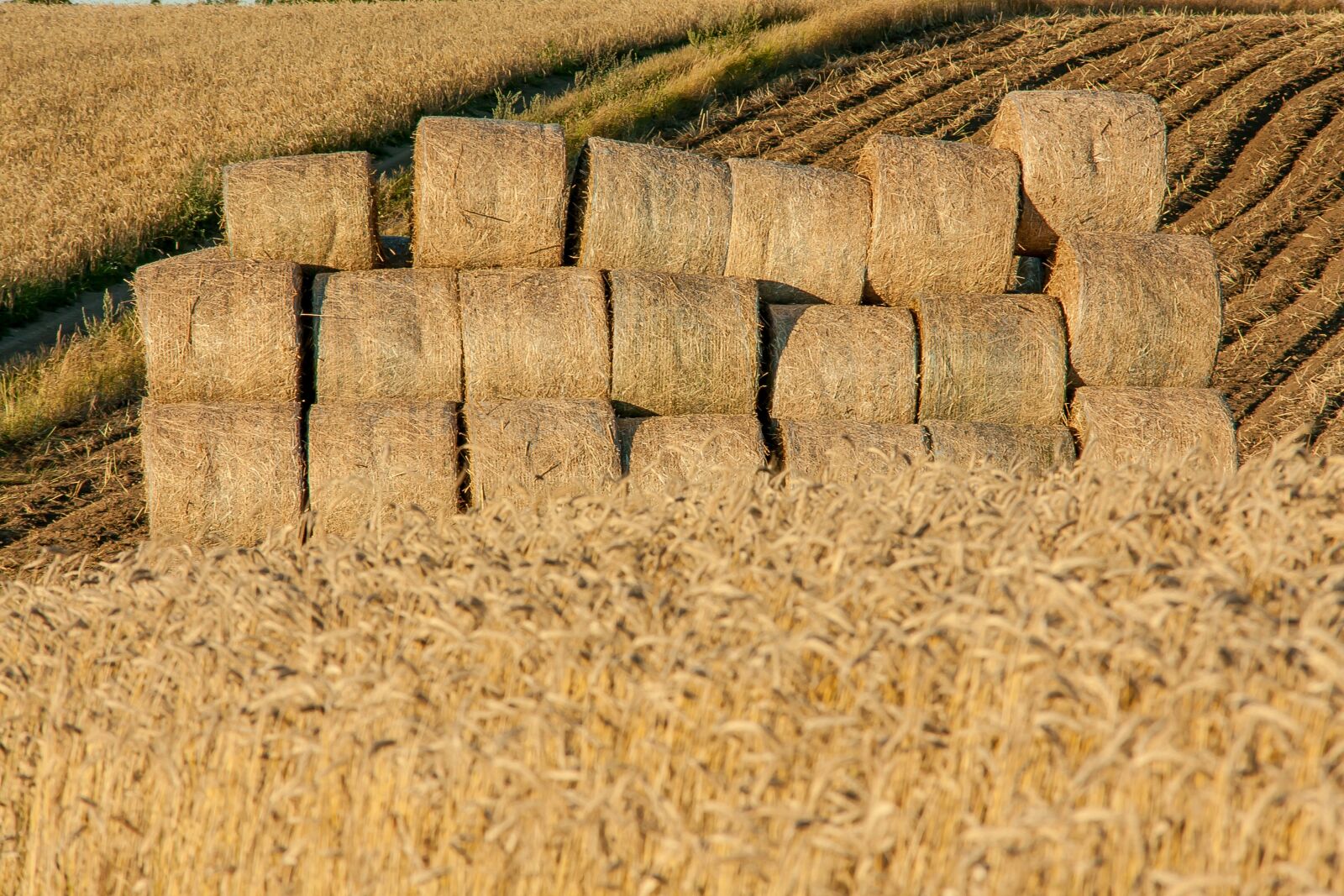 Canon EOS 40D sample photo. Landscape, yields, sky photography