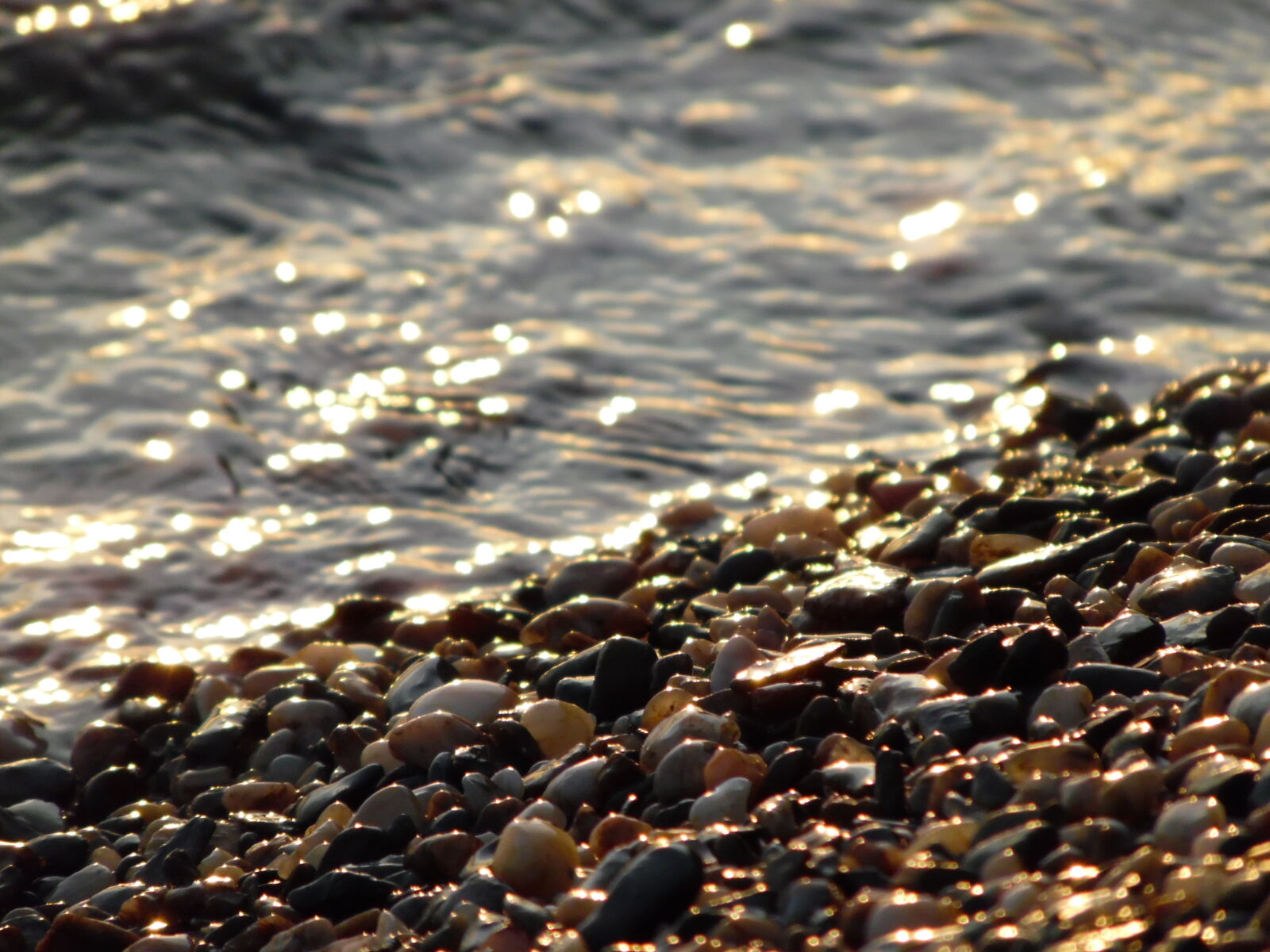 Samsung WB1100F/WB1101F/WB1102F sample photo