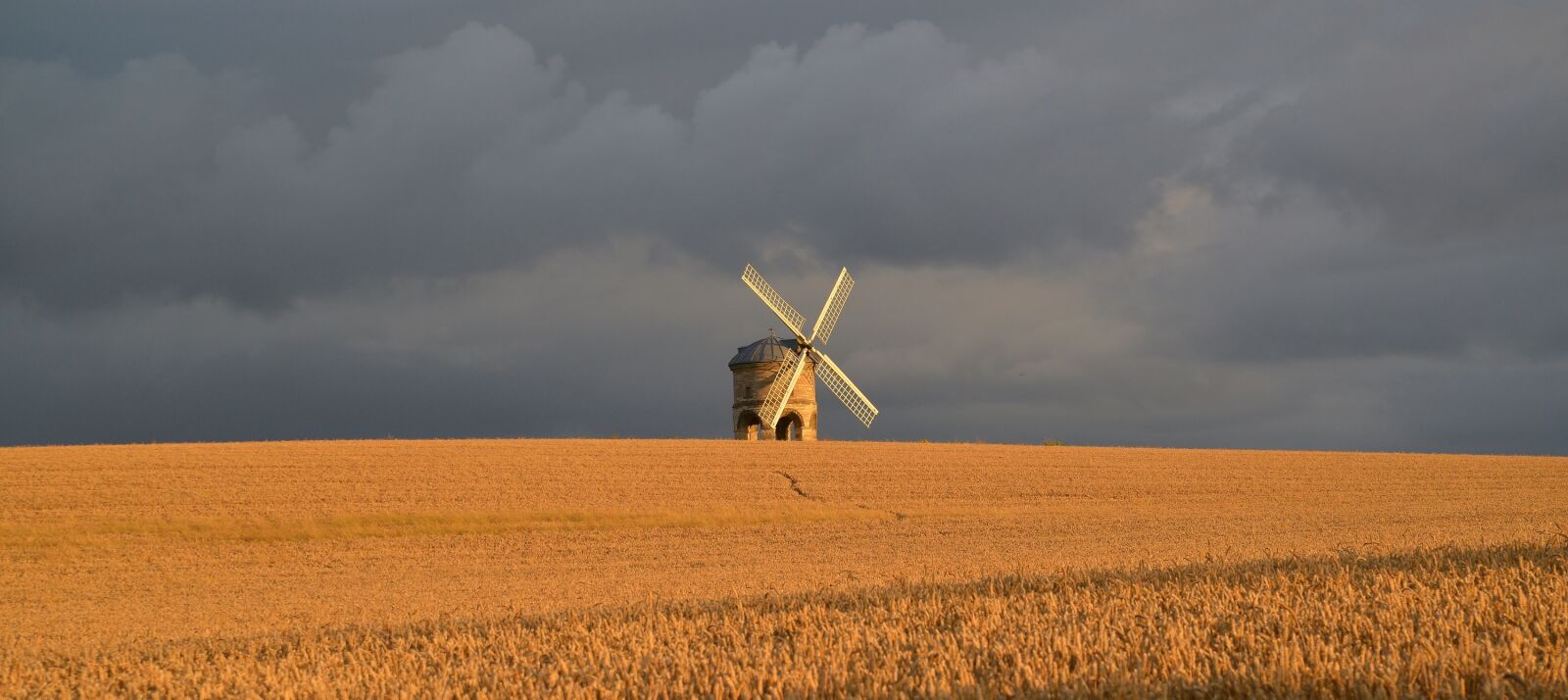Nikon D800 sample photo. Windmill, field, agriculture photography