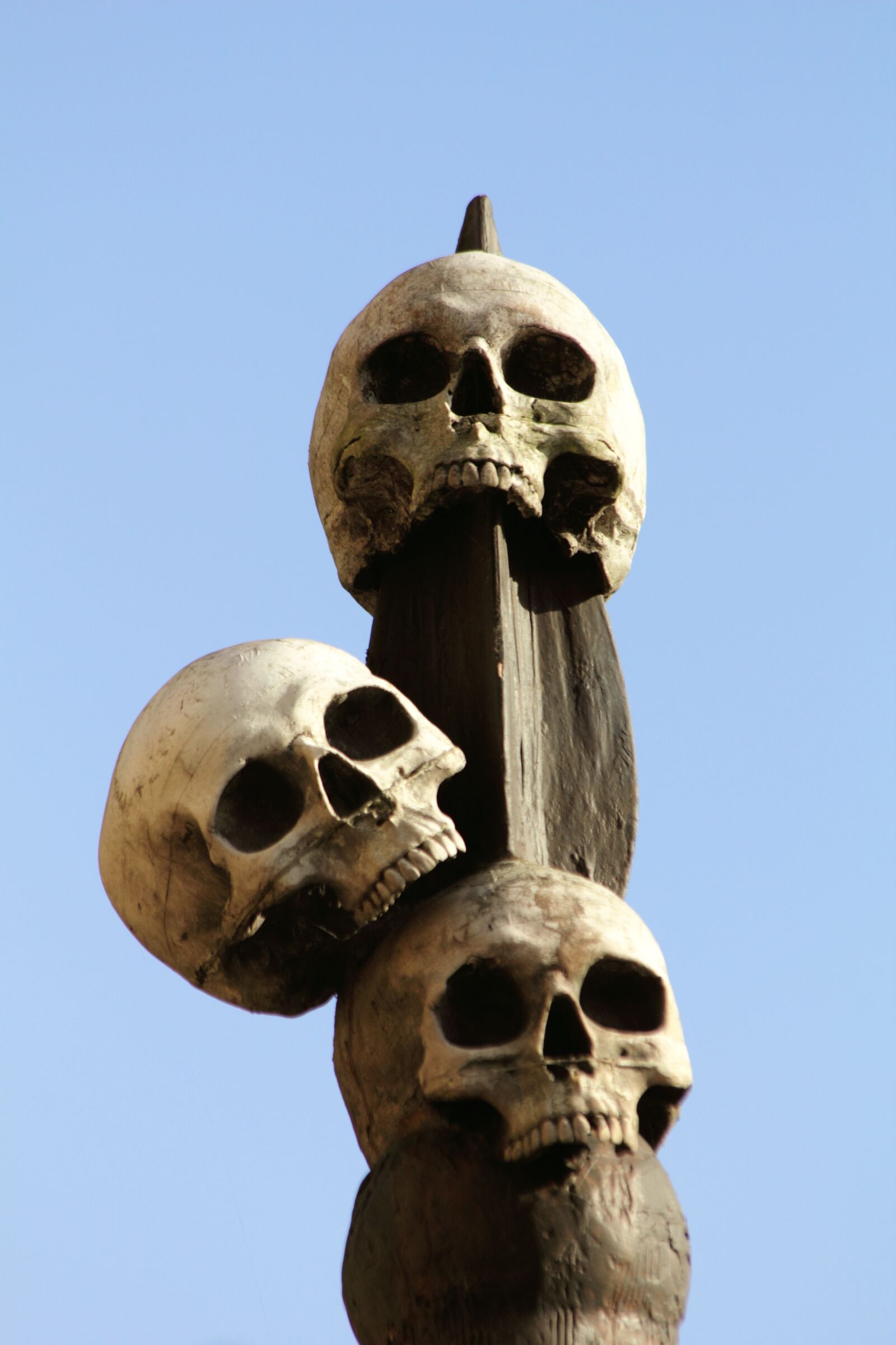 Canon EOS 550D (EOS Rebel T2i / EOS Kiss X4) sample photo. Bones, dead, death, head photography