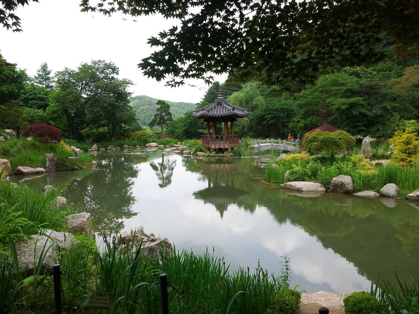 Samsung Galaxy Note sample photo. Korea, garden, beautiful photography