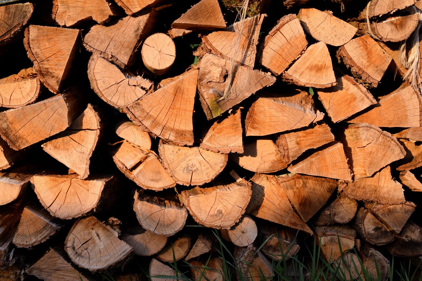 Nikon D5300 sample photo. Wood pile, firewood, wood photography