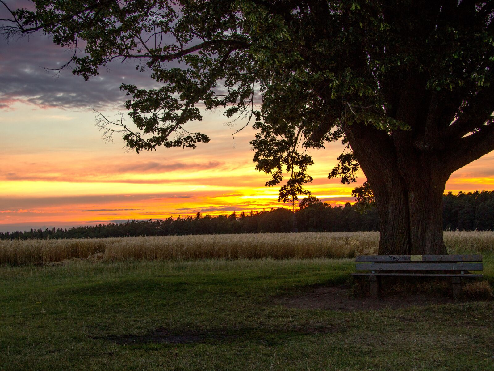 Canon EF-S 17-85mm F4-5.6 IS USM sample photo. Beginning of summer, sunset photography