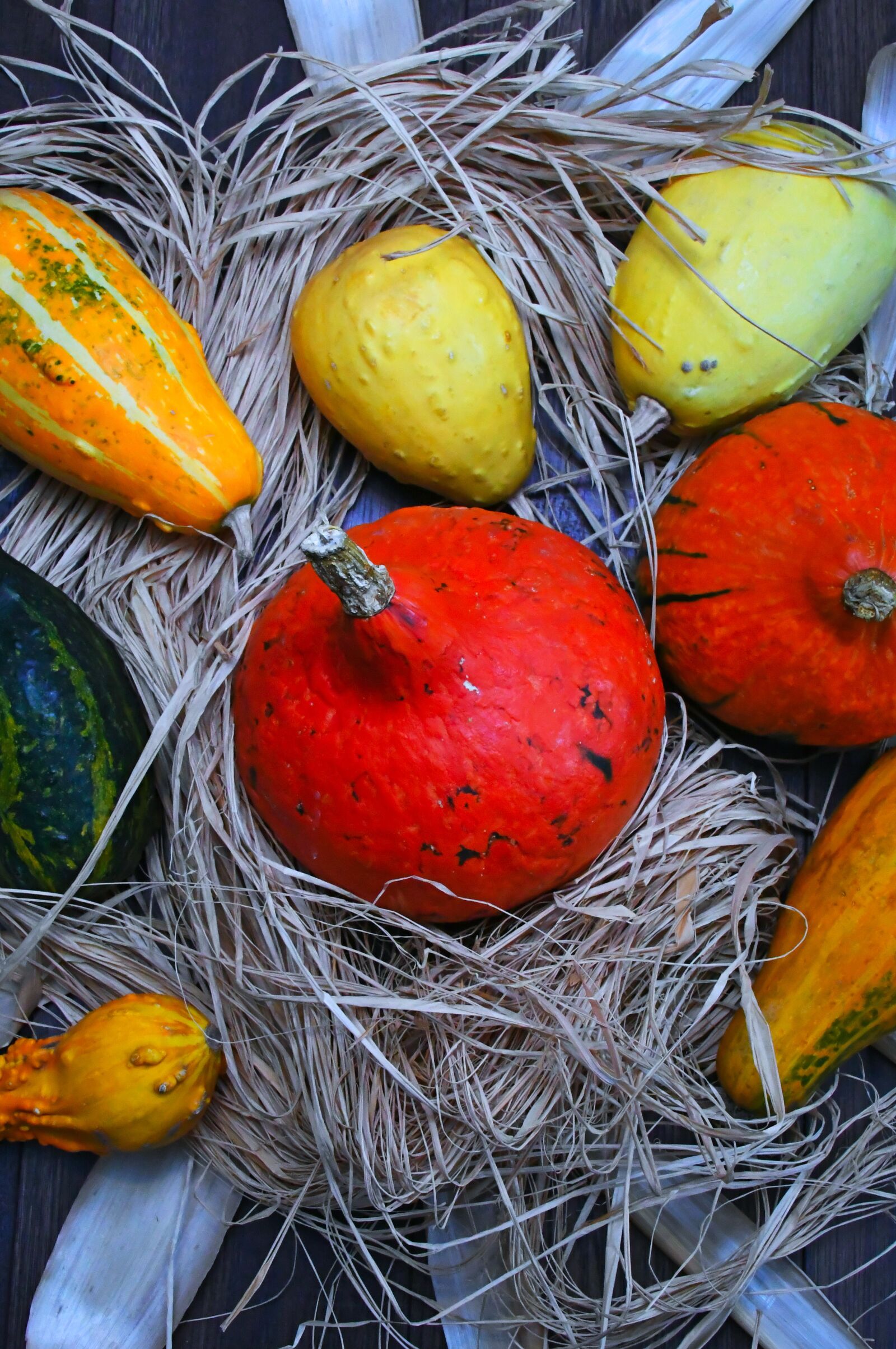 Nikon D3200 sample photo. Decorative pumpkins, orange, october photography