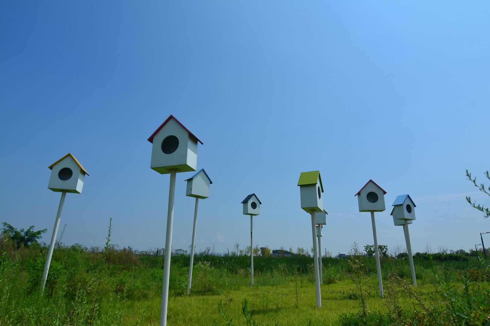 Nikon D7100 sample photo. Bird cage, new foster photography