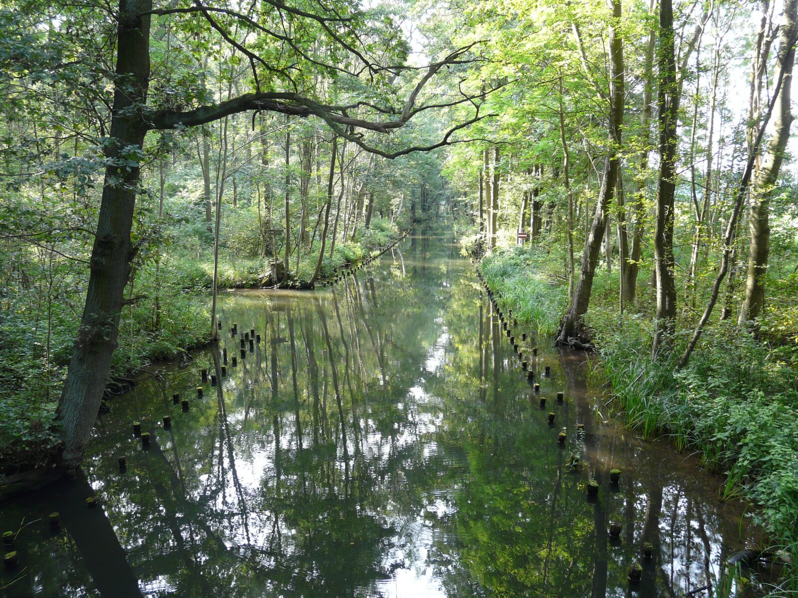 Panasonic DMC-FZ18 sample photo. Spreewald, biosphere reserve, idyll photography