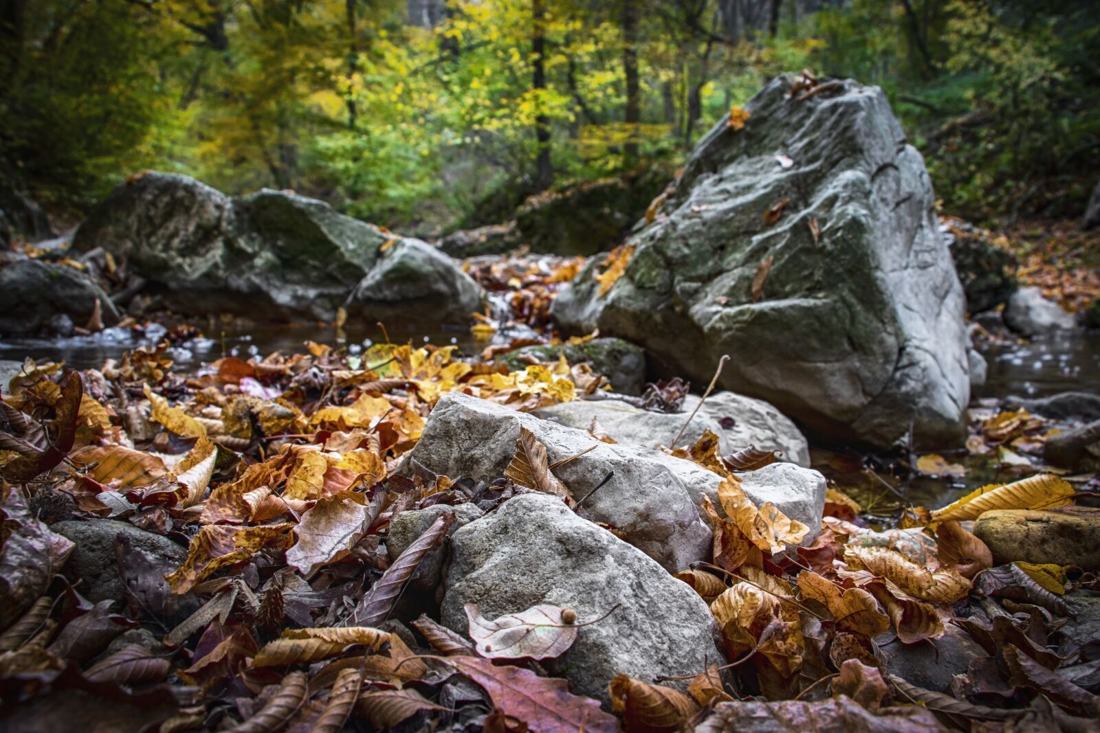 Canon EF-S 18-135mm F3.5-5.6 IS USM sample photo. Stones, autumn, stream photography
