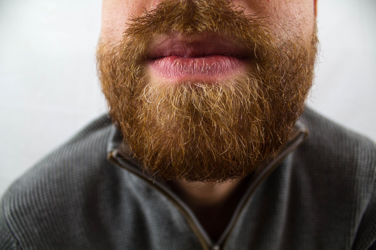 Canon EOS 600D (Rebel EOS T3i / EOS Kiss X5) sample photo. Bart, beard care, mouth photography