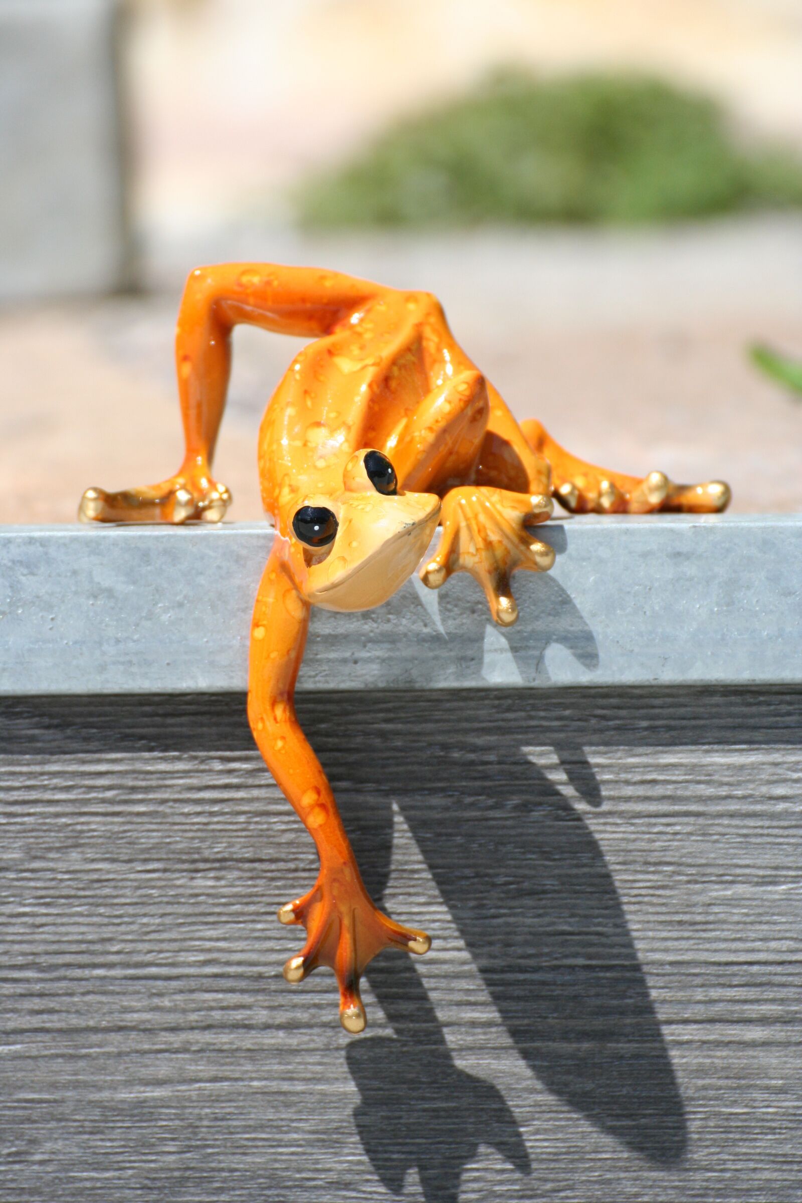 Canon EOS 350D (EOS Digital Rebel XT / EOS Kiss Digital N) sample photo. Lizard, gecko, reptile photography