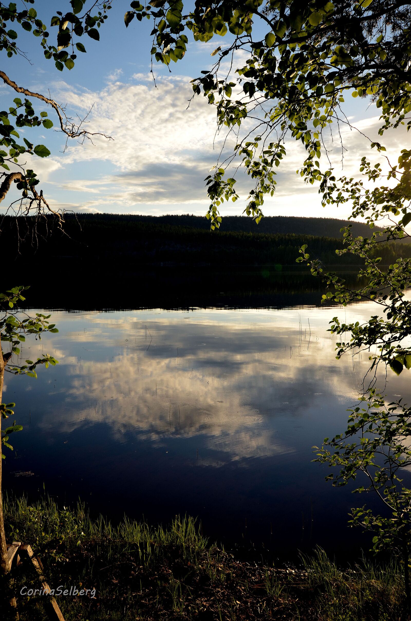 Nikon D5100 sample photo. Water, mirroring, lake photography