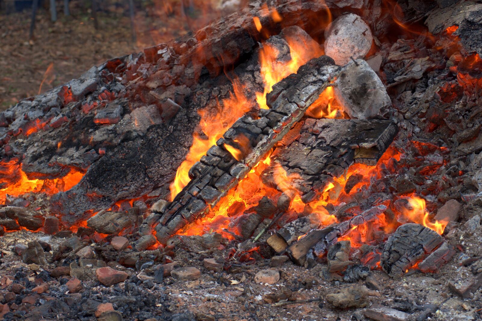 Sony a7 II + Sony FE 50mm F2.8 Macro sample photo. Fire, embers, campfire photography