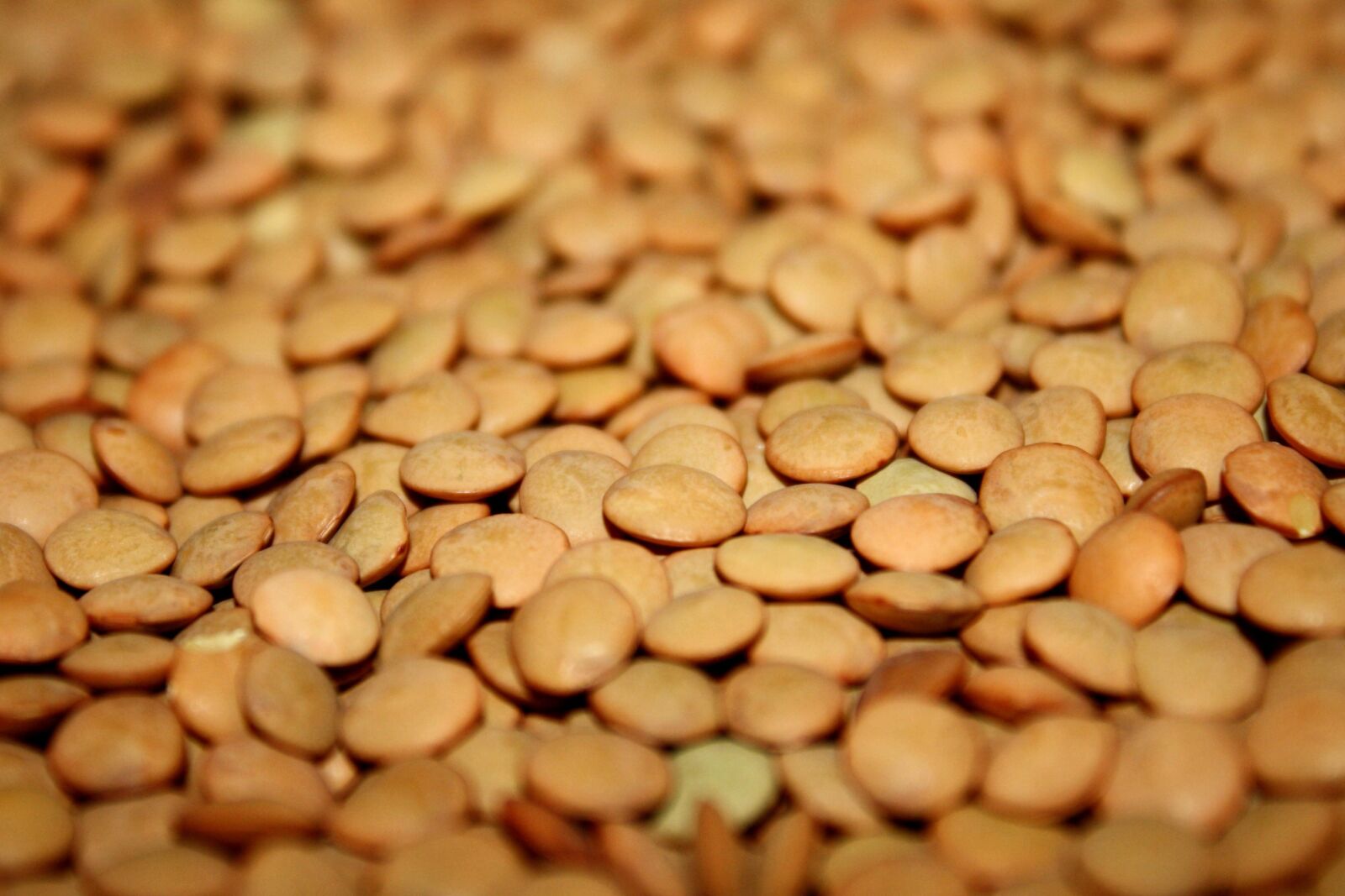 f/3.5-5.6 IS sample photo. Lentils photography