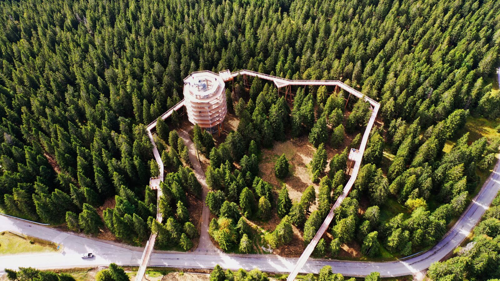 Hasselblad L1D-20c sample photo. Rogla, slovenia, slovenija photography