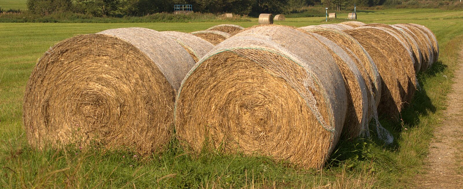 Canon EOS 700D (EOS Rebel T5i / EOS Kiss X7i) sample photo. Hay bales, summer, agriculture photography