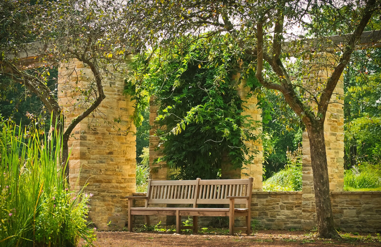 Olympus OM-D E-M10 sample photo. Park, bank, park bench photography
