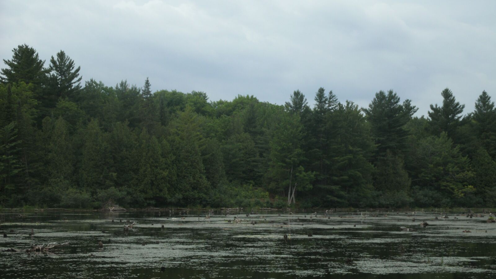 GENERAL IMAGING CO. A1455 sample photo. Lake, forest, landscape photography