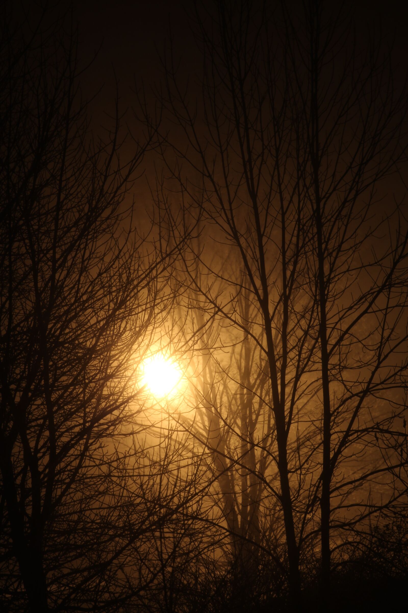 Canon EOS 1200D (EOS Rebel T5 / EOS Kiss X70 / EOS Hi) sample photo. Bright, light, night photography