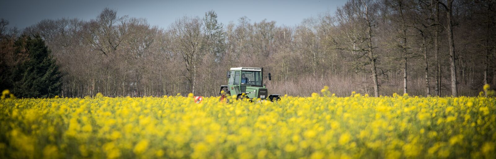 Nikon D750 sample photo. Catch crop, tractor, field photography