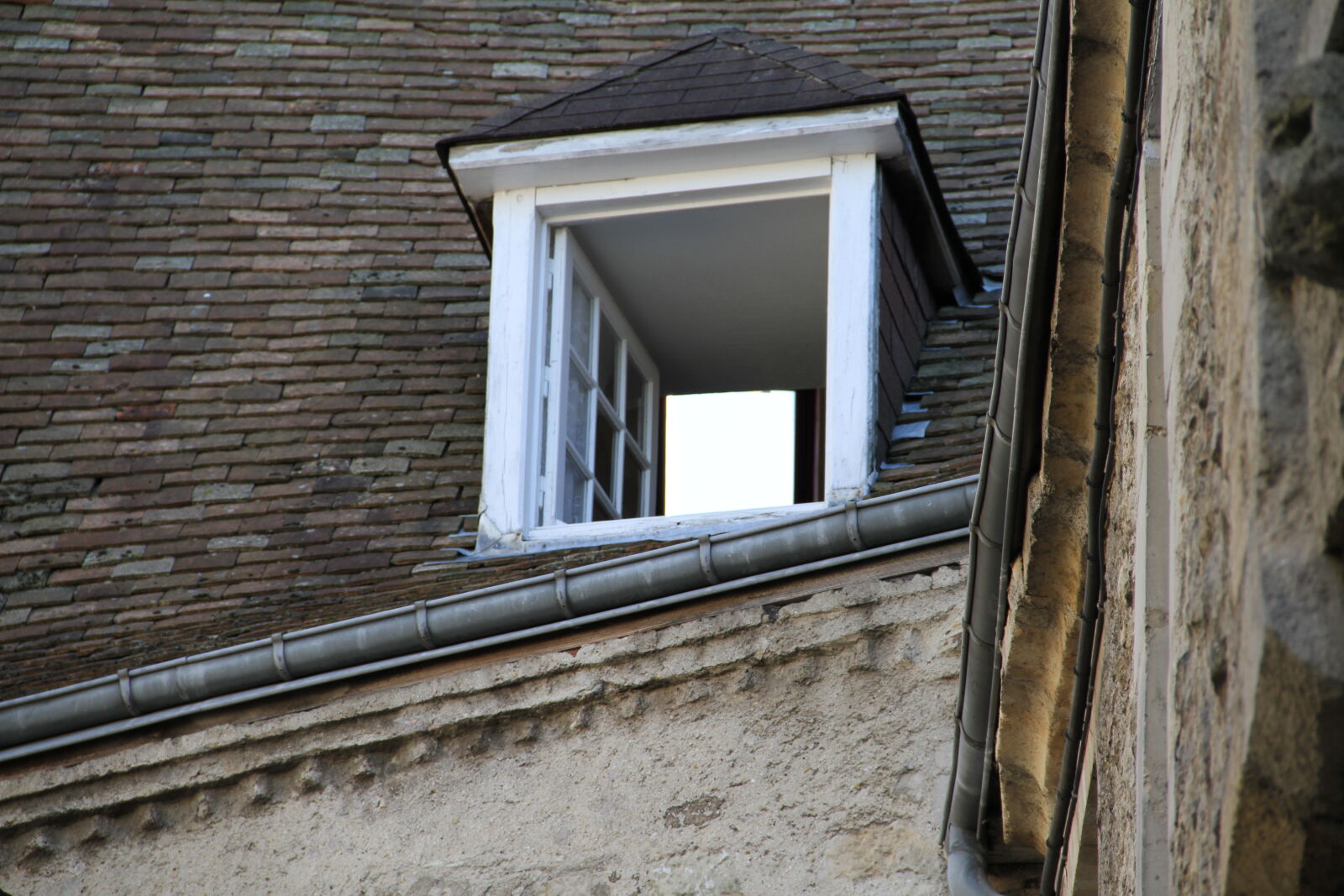 Canon EOS 7D sample photo