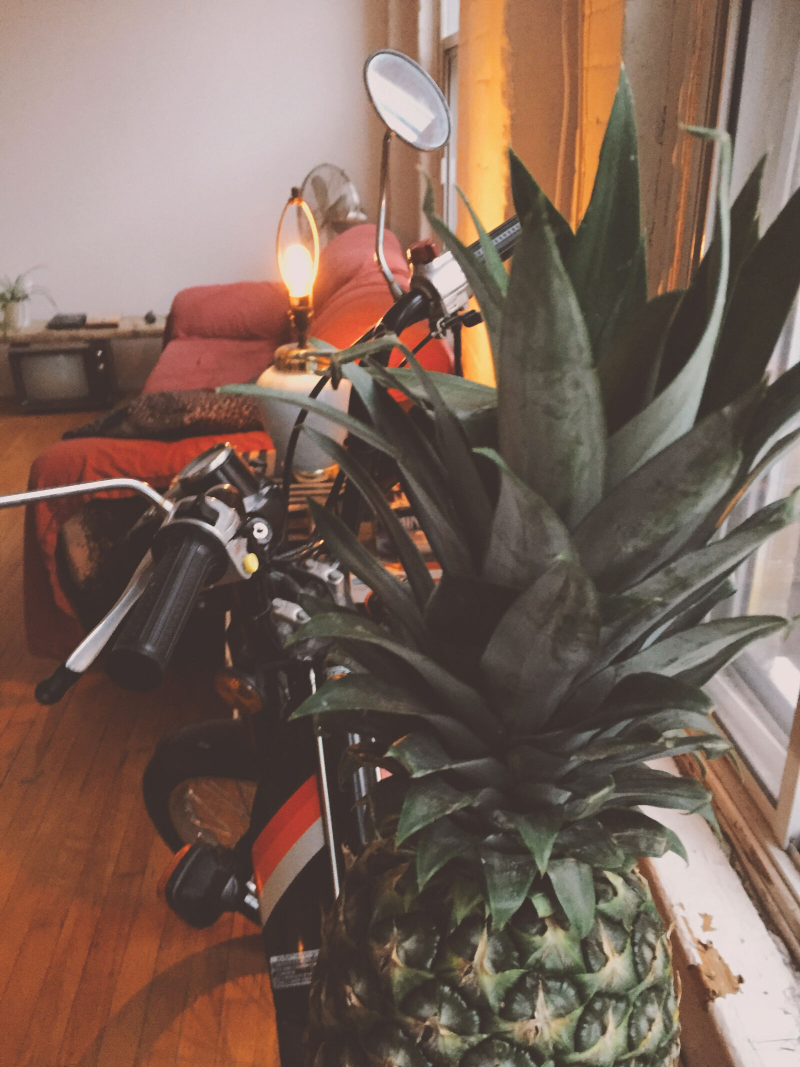 Apple iPhone 6 sample photo. Bike, couch, fruit, interior photography