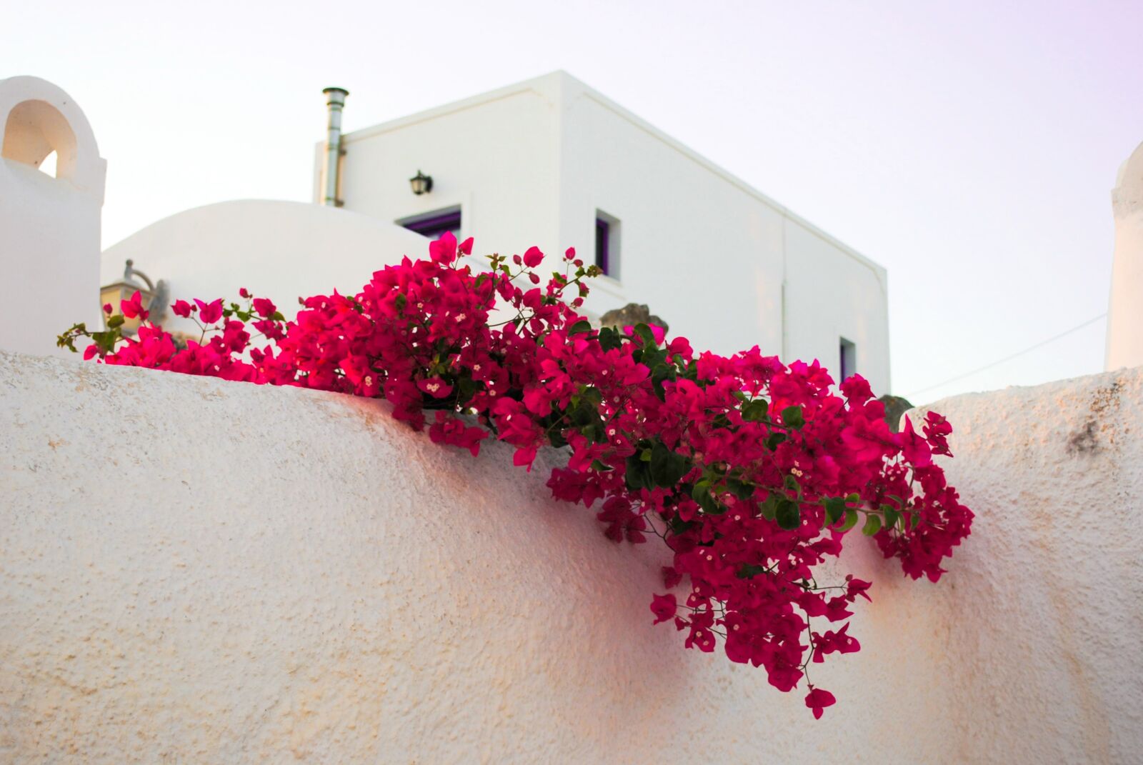 Nikon D3000 sample photo. Santorini, flowers, islands photography