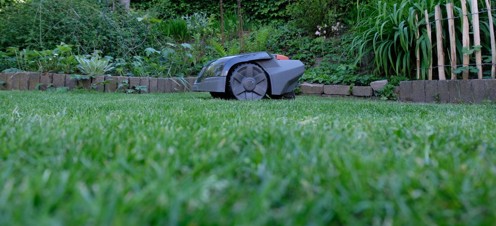 Fujifilm X-T20 sample photo. Lawn robot, rush, robot photography
