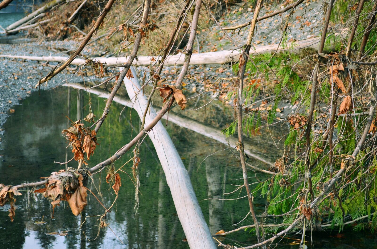 Nikon D5100 sample photo. Nature, pond, lake photography